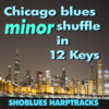 Thumbnail Chicago Blues Minor Shuffle in 12 Keys Thumbnail Chicago Blues Minor Shuffle in 12 Keys