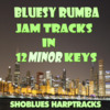 Thumbnail Bluesy Rumba Jam Tracks In 12 Minor Keys Thumbnail Bluesy Rumba Jam Tracks In 12 Minor Keys
